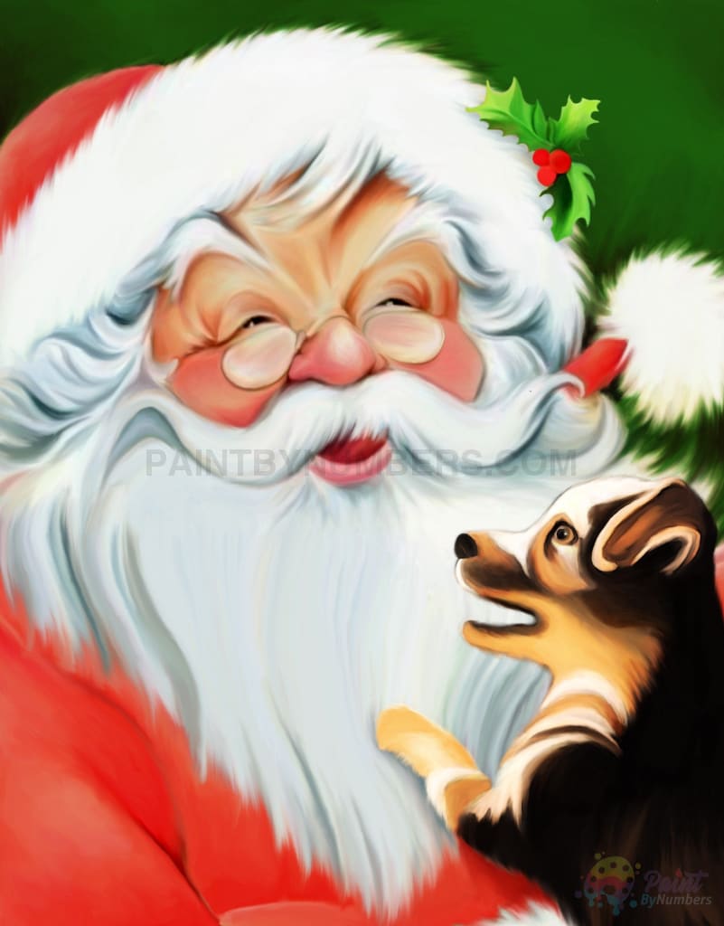 Santa With Puppy Paint By Numbers Kit