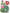 Sweet And Simple Bundle Of Happy Cacti
