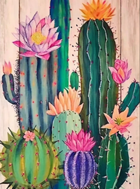 Thumbnail for Water Color Multi Cacti In Bloom