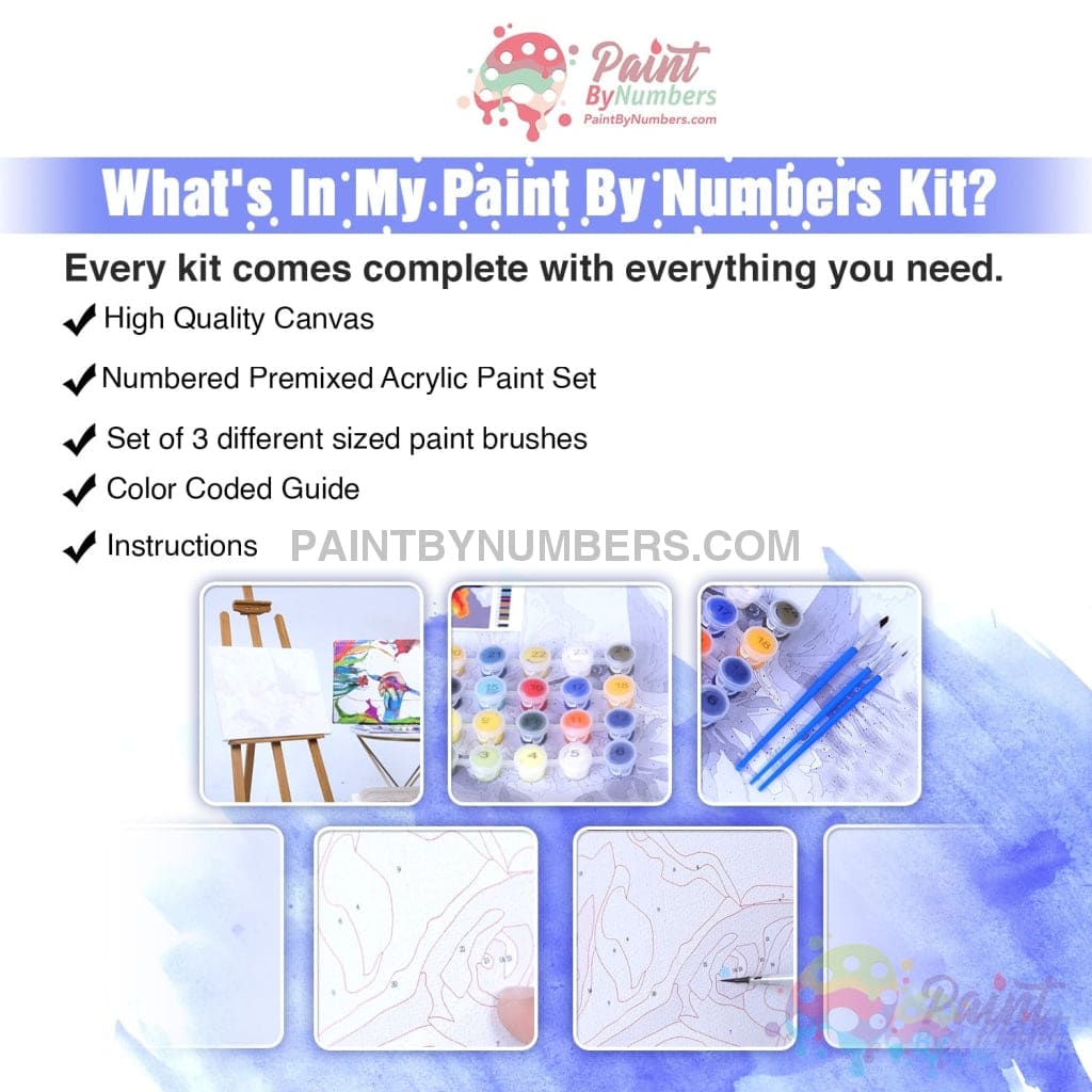 Animal Kingdom Paint By Numbers Kit