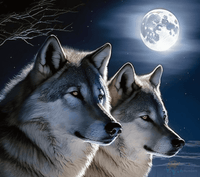 Thumbnail for Wolfpack Life Paint By Numbers Kit For Adults